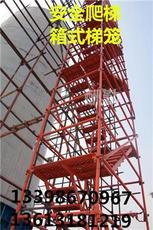 專業施工安全爬梯產品展示